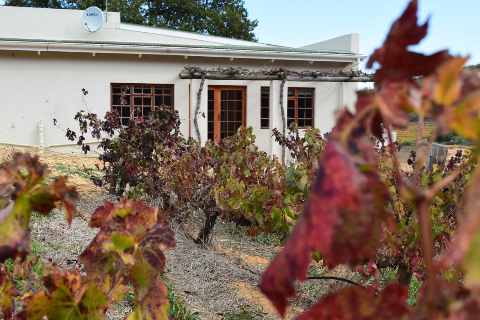 Vredehoek Guest Farm Breerivier Exterior photo